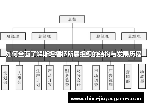 如何全面了解斯坦福桥所属组织的结构与发展历程